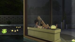 Emilia C Date Night Ended into A Passionate Sex - 3D Hentai - 3 image