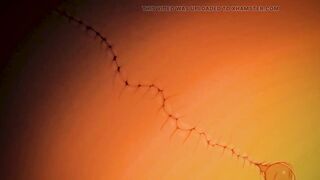 Sakura Seduces Naruto - Anime Hentai Cartoon. - 6 image