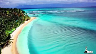 Dukes Hardcore Honeys January -February Teaser Compilation - 3 image