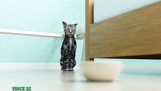 Welcome to Free Will - #43 - Special Coins by Redlady2k - 9 image