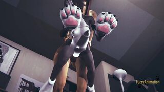 Fox fucks cat with a creampie in anime furry hentai - Japanese 3D cosplay