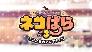 Catgirl Harem Hentai Game Review: Nekopara 3 - 8 image