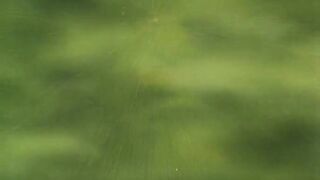 Legend of the Overfiend (1989) oav 03 vostfr - 7 image