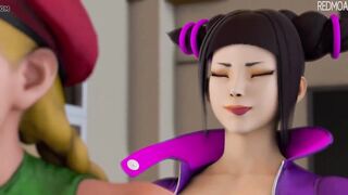 Han Juri and Cammy White 3D Futanari - 6 image