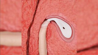 3D Compilation: Raiden Shogun Yae Miko Rosaria Eula Dick Ride Creampie Uncensored Hentai - 7 image